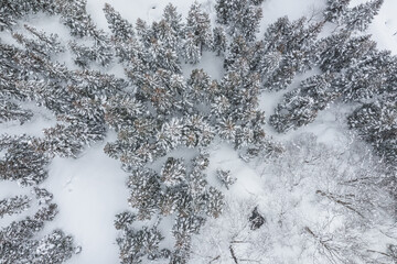 ドローン撮影：真っ白な雪に覆われた山