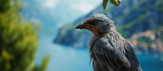 Close-up photograph of a bird with a scenic backdrop.