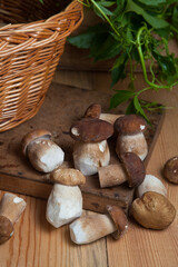 Pile of wild porcini mushrooms on wooden background at autumn season..