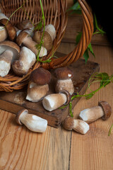Pile of wild porcini mushrooms on wooden background at autumn season..
