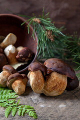 Imleria Badia or Boletus badius mushrooms commonly known as the bay bolete and clay bowl with mushrooms on vintage wooden background.