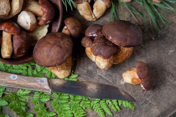 Imleria Badia or Boletus badius mushrooms commonly known as the bay bolete, clay bowl with mushrooms and knife on vintage wooden background..