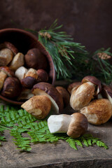 Imleria Badia or Boletus badius mushrooms commonly known as the bay bolete and Porcini mushroom commonly known as Boletus Edulis, clay bowl with mushrooms on vintage wooden background..