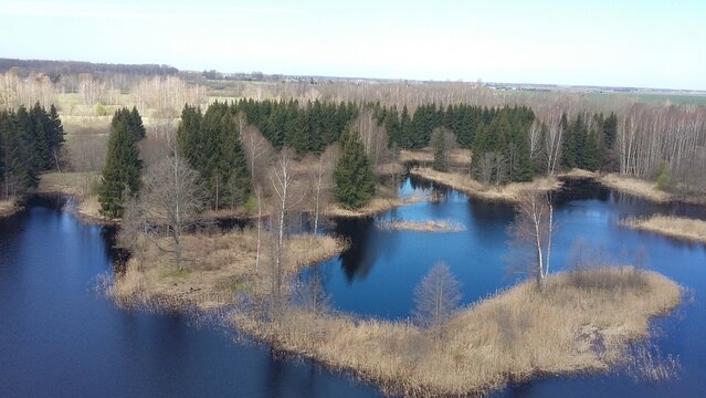lake and forest from hight