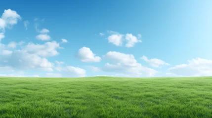 Photo sur Aluminium Bleu green field and blue sky with clouds 3d image and photo,, green field and blue sky