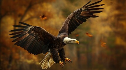 Obraz premium Bald eagle flying draw and paint on nature background. copy space for text.