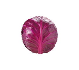 Obraz premium red cabbage transparent png