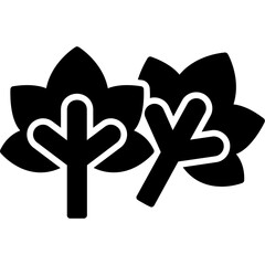 Maple Leaf Icon