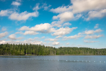Forest lake with pine trees and blue sky. Summer landscape on Whonnock Lake BC Canada