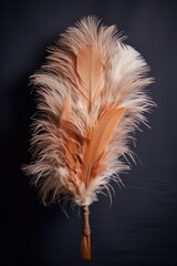 Close-up view of a feather on a black background. Versatile image suitable for various themes and concepts