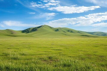Fototapeta premium Landscape of green grass on slope with blue sky