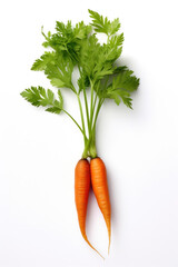 A carrot with green leaves on white background.