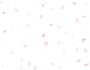 Sakura Flower Petals
