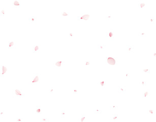 Sakura Flower Petals