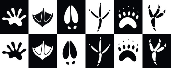 Paw print silhouette. Isolated paw print on white background