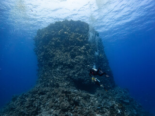 Obraz premium Scuba Diving on a Coral Reef, diving group, guided tour 