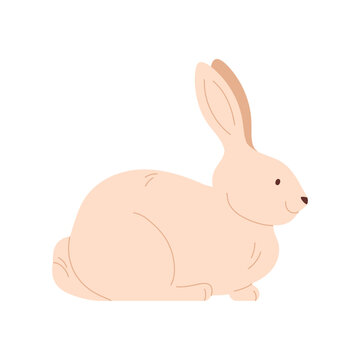 White rabbit sitting, funny happy bunny with long ears on head vector illustration