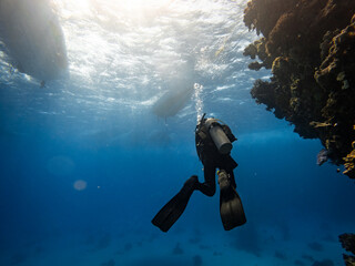 End of dive, diver ascend to surface, boats are waiting, Underwater scene with exotic fishes and...