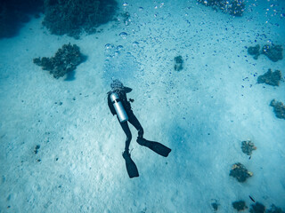 Scuba diver seen form above, behind, Underwater scene with exotic fishes and coral reef of the Red...