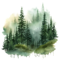 Evocative watercolor artwork capturing a misty sunrise over a dense pine forest.