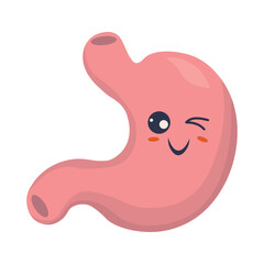 Cute smiling happy healthy human strong organs set. Vector cartoon character illustration icon design. Isolated on white background. Heart, liver, brain, stomach, lungs, kidneys, intestines, uterine o