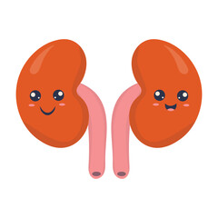 Cute smiling happy healthy human strong organs set. Vector cartoon character illustration icon design. Isolated on white background. Heart, liver, brain, stomach, lungs, kidneys, intestines, uterine o