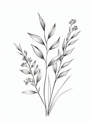 Fototapeta premium Black and white style line drawing flax flowers
