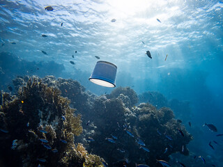 POV collecting plastic trash, bag, particle, in the ecean while Scuba Diving on a Coral Reef
