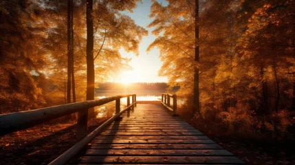 Foto auf Acrylglas Braun Autumn forest landscape with wooden pier.