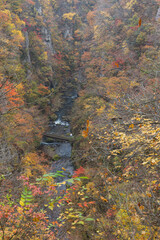 日本　宮城県大崎市鳴子温泉にある峡谷、鳴子峡の紅葉と大谷川