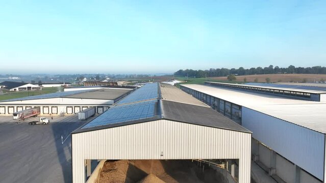 Industrial chicken farm with large white sheds, a gravel mound, and a spacious paved area for operations, set against a clear sky. Aerial rising shot.