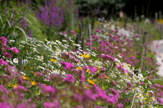 Naturlehrgarten