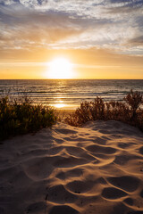 Vertical crop of a golden sunset looking over the dune at Henley Beach, South Australia.