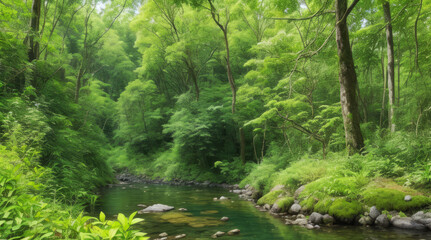 Obraz premium views of the forest and rivers with clear water