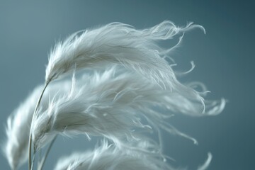 White feathers arranged in a vase. Suitable for various decorative purposes