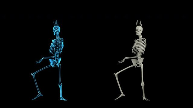Skeleton dancing looping 3d animation with alpha channel and x-ray shade rendered  .