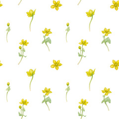 Seamless pattern of watercolor spring flowers. For packaging, textiles and backgrounds
