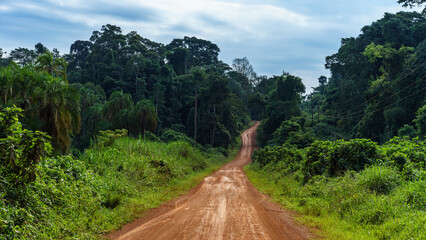 Dirt Road in Rainforest  © Hortigüela