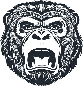 Gorilla head, vector illustration