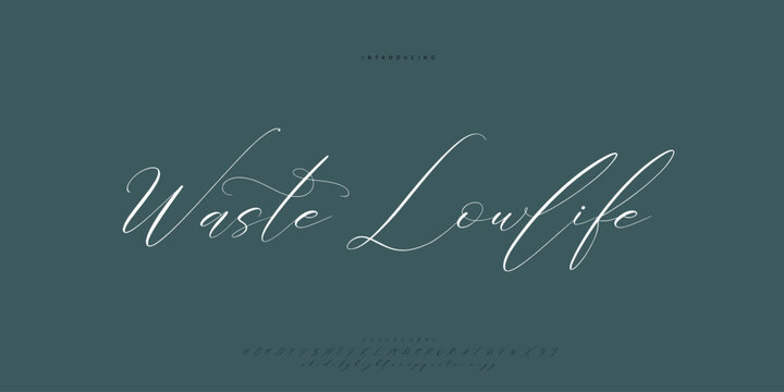 signature Font Calligraphy Logotype Script Brush Font Type Font lettering handwritten	
