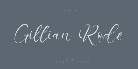 signature Font Calligraphy Logotype Script Brush Font Type Font lettering handwritten	
