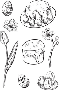 Spring set of easter elements. Black ink outline hand drawn eggs, tulip, sakura and easter cakes