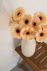 Pastel pale orange gerbera daisy flowers bouquet in clay vase on brown wooden table. Holiday, birthday celebration floral composition