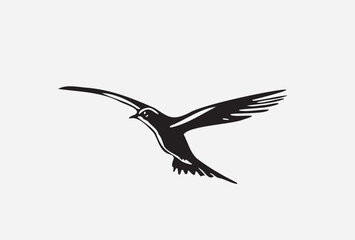 Obraz premium Silhouette bird isolated on white