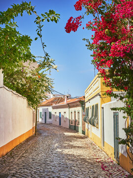 A picturesque little street with oleanders in Ferragudo, Faro, Algarve, Portugal
