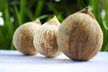 Coconut stack on table 