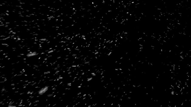 falling snow on the black backgrounds