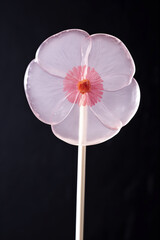 A fun pink flower-shaped lollipop isolated on black. A close-up of a round hard candy on a stick in a shape of a flower. AI-generated