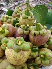 Mangosteen, a sweet, purple fruit from a Thai garden.