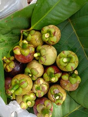 Mangosteen, a sweet, purple fruit from a Thai garden.